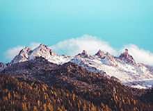 世界杯直播官网app下载入口-名人堂优秀集体1996年奥运会中国男篮：首次闯入奥运八强